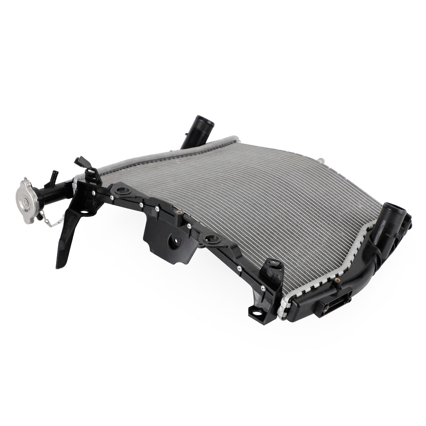 Raffreddamento del radiatore del radiatore del motore BMW S1000RR 2009-2018