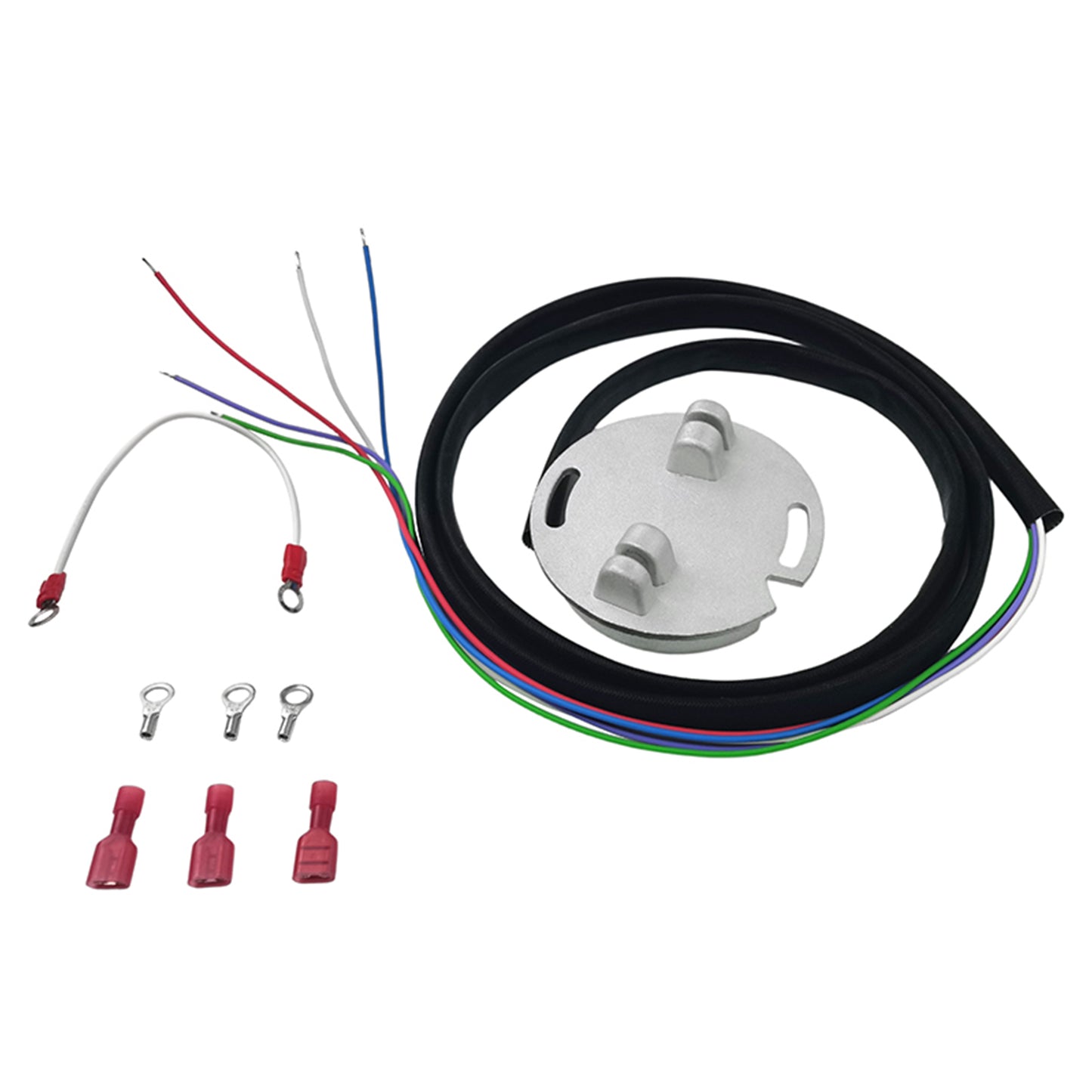 Modulo accensione elettronica Single Fire per Sportster Dyna 2000i