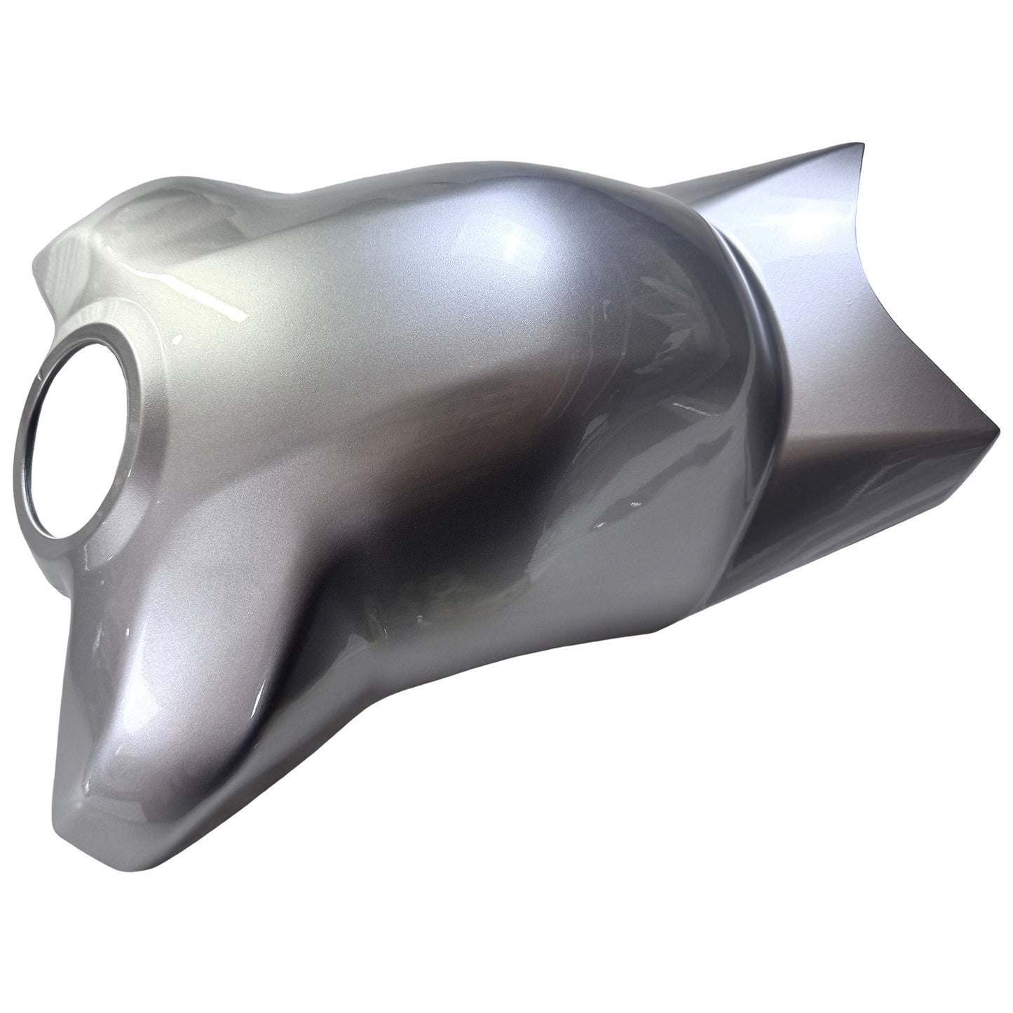 Carrozzeria kit carena iniezione Ducati Panigale V4/V4S 2020-2021