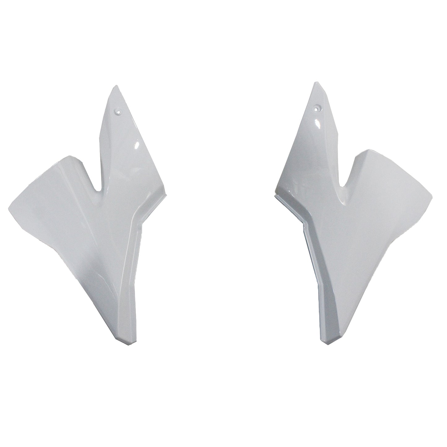 Amotopart Kawasaki 2004-2005 ZX10R in bianco e nero?