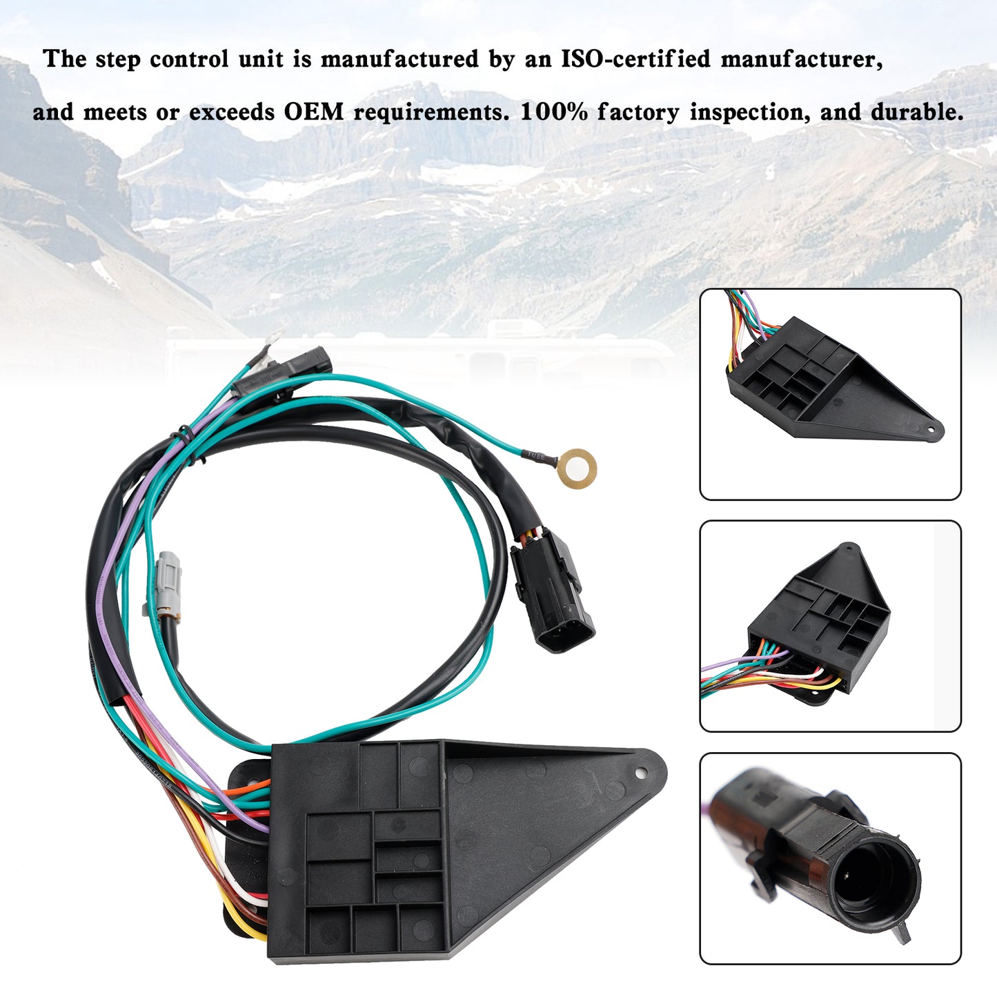 Gruppo unità di controllo IMGL/9510 Step Control per Kwikee Electric Step 909510000