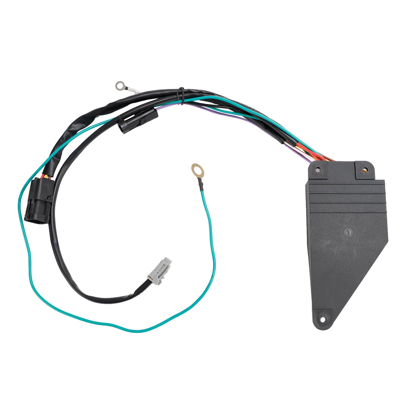 Gruppo unità di controllo IMGL/9510 Step Control per Kwikee Electric Step 909510000