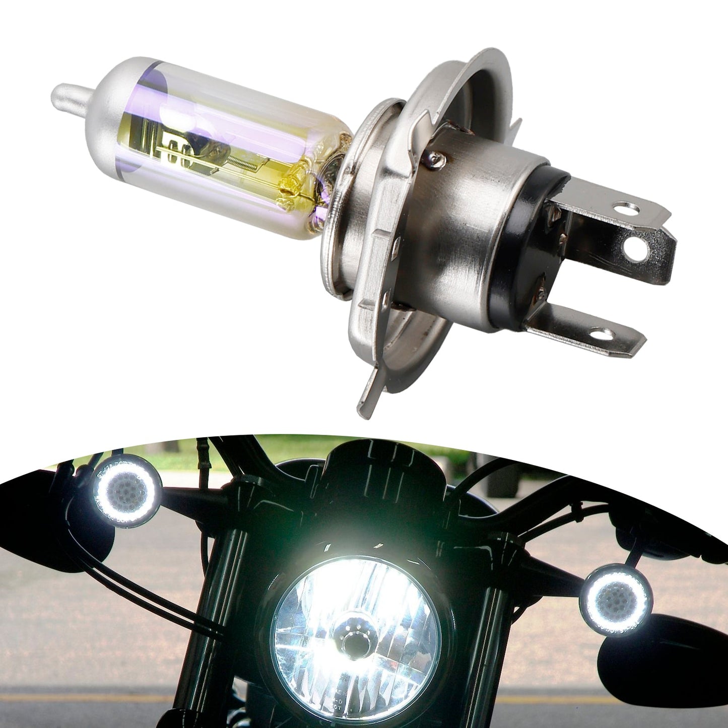 Lampada per moto Allseason HS1 64185ALS PX43T 12V 35/35W per OSRAM