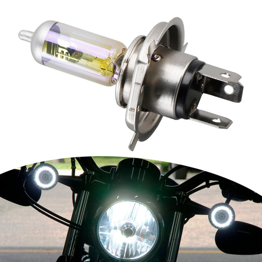 Lampada per moto Allseason HS1 64185ALS PX43T 12V 35/35W per OSRAM