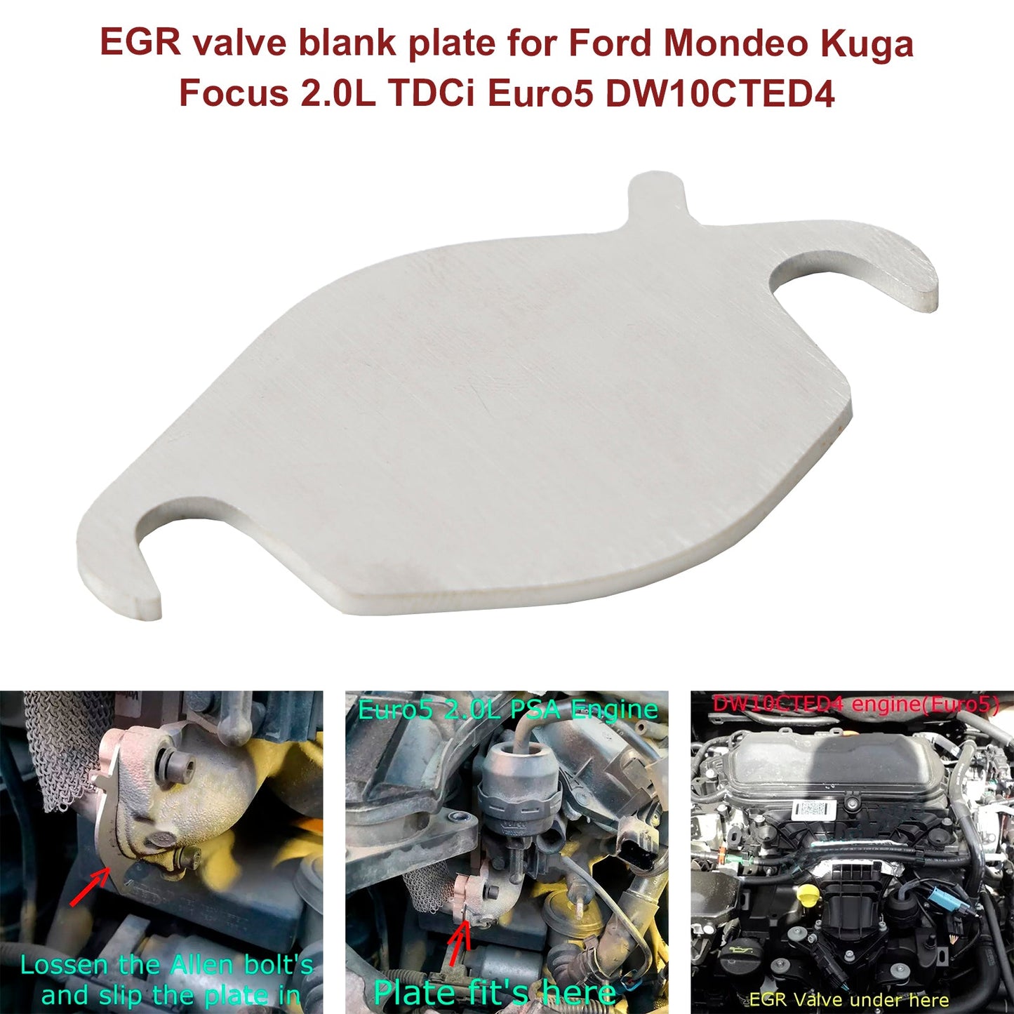 Piastra cieca valvola EGR per Ford Mondeo Kuga Focus 2.0L TDCi Euro5 DW10CTED4
