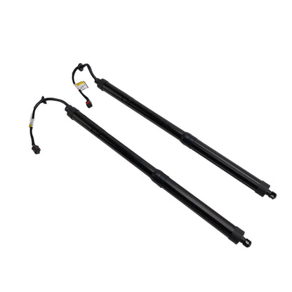 Supporto di sollevamento per portellone posteriore elettrico Hyundai Santa Fe Sport Utility 2013-2019, 2 pezzi