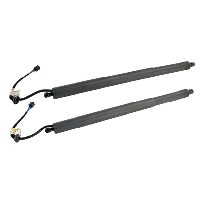 Supporto di sollevamento per portelloni elettrici Hyundai Palisade 2 pezzi 2020-2022 81831-S8100