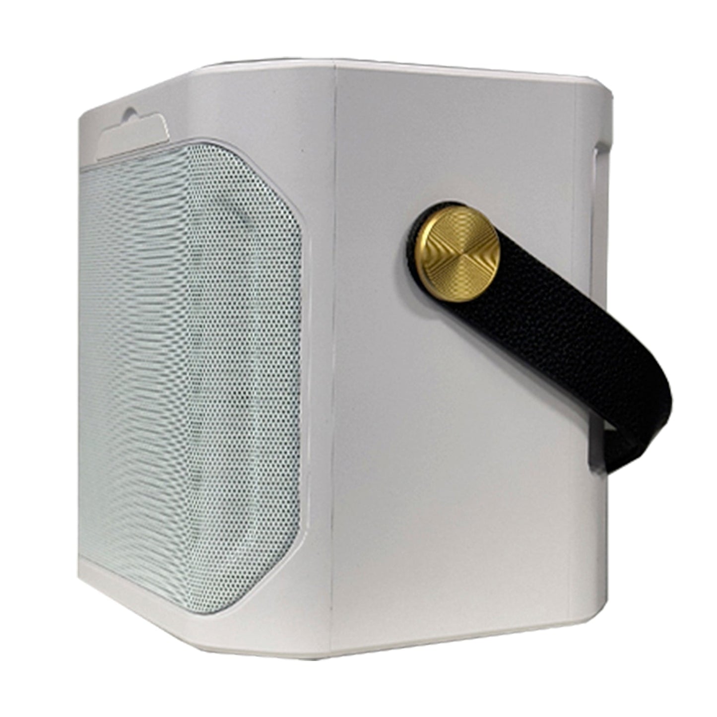 Altoparlante Bluetooth wireless con doppio microfono, altoparlante portatile per karaoke domestico