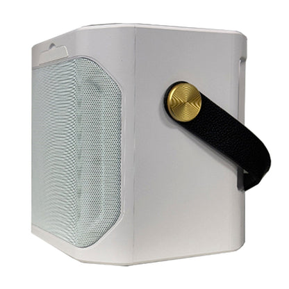 Altoparlante Bluetooth wireless con doppio microfono, altoparlante portatile per karaoke domestico