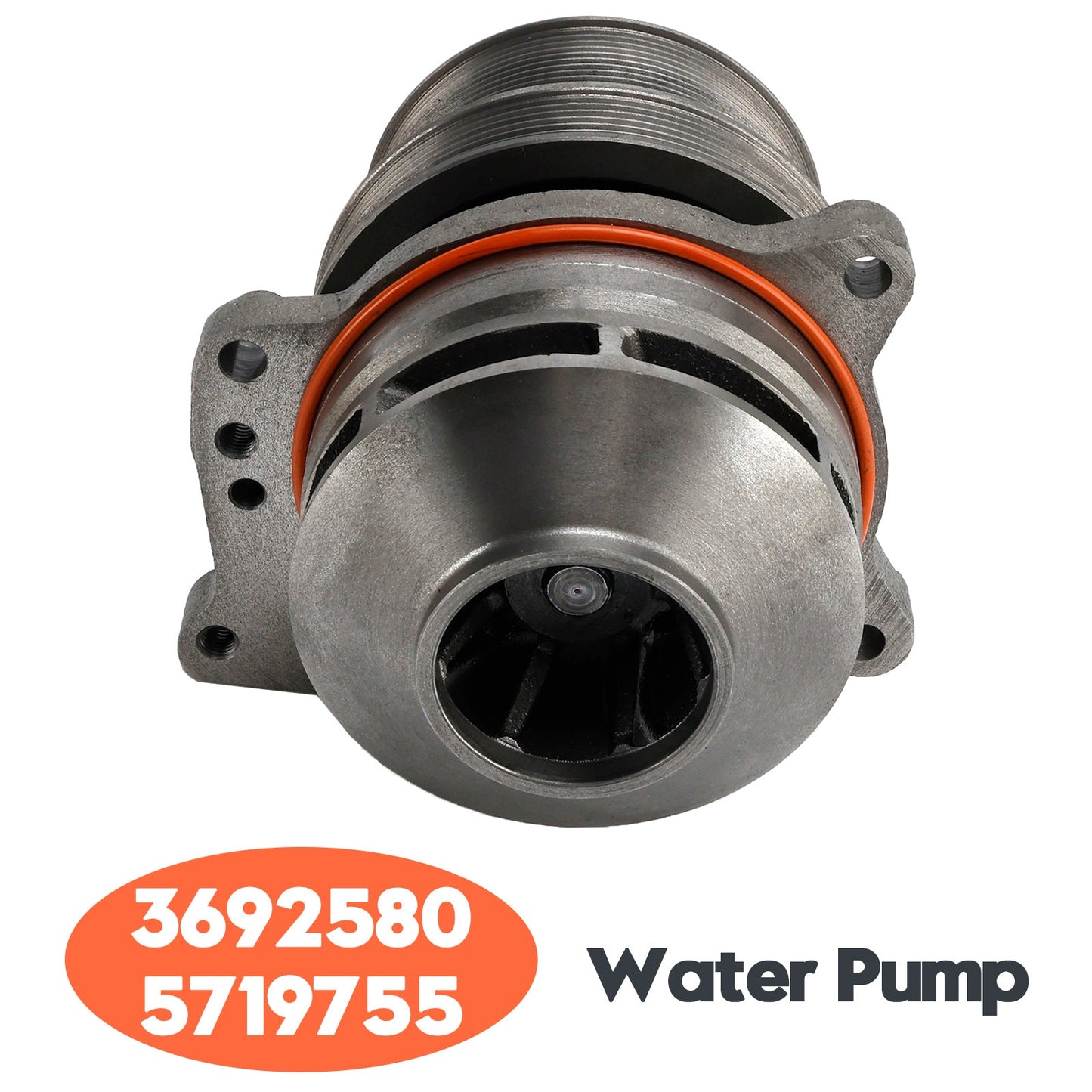 Pompa dell'acqua 3692580 5719755 per motore Cummins ISX15 QSK60 X15 ISX12 G