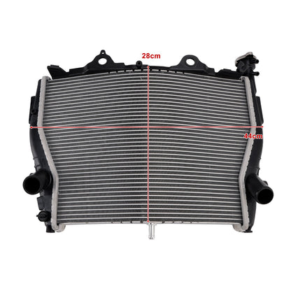 Radiatore di raffreddamento del motore in alluminio BMW S1000R 2015-2018
