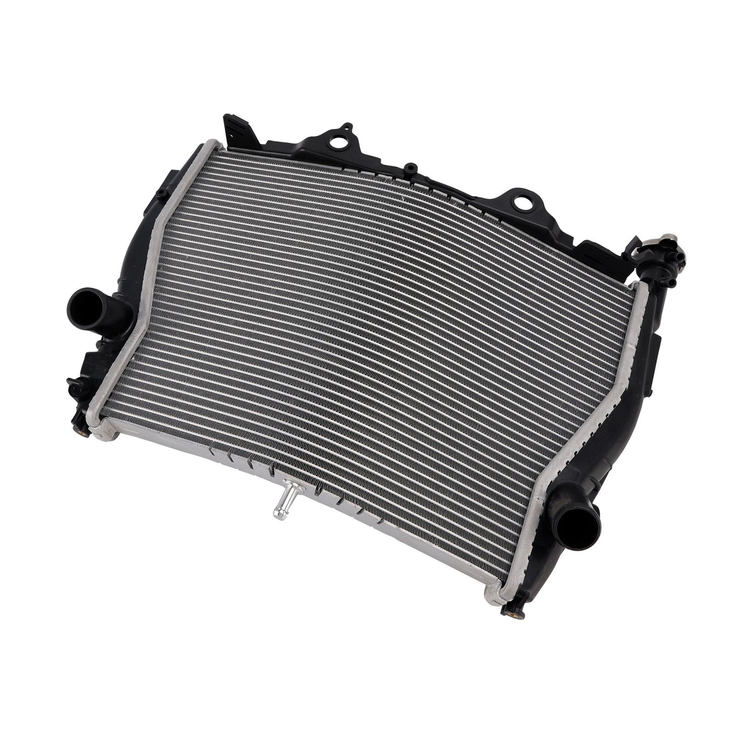 Radiatore di raffreddamento del motore in alluminio BMW S1000R 2015-2018