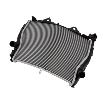 Radiatore di raffreddamento del motore in alluminio BMW S1000R 2015-2018