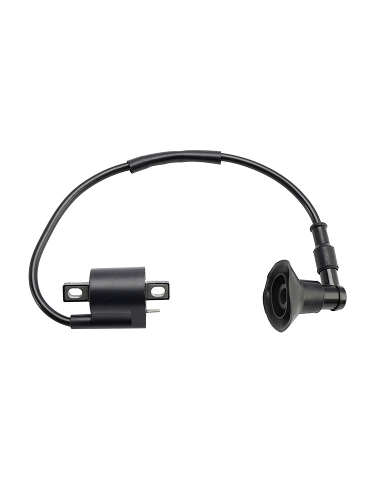 CDI BOX Accensione adatta per Polaris ATV PREDATOR 50 90 Can-Am ATV Mini DS 50 90