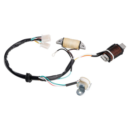 Bobina di ricarica e bobina di illuminazione Town Mate Yamaha T80D 1987/1992/1993 2MK-85560-M0 2ML-85560-M0