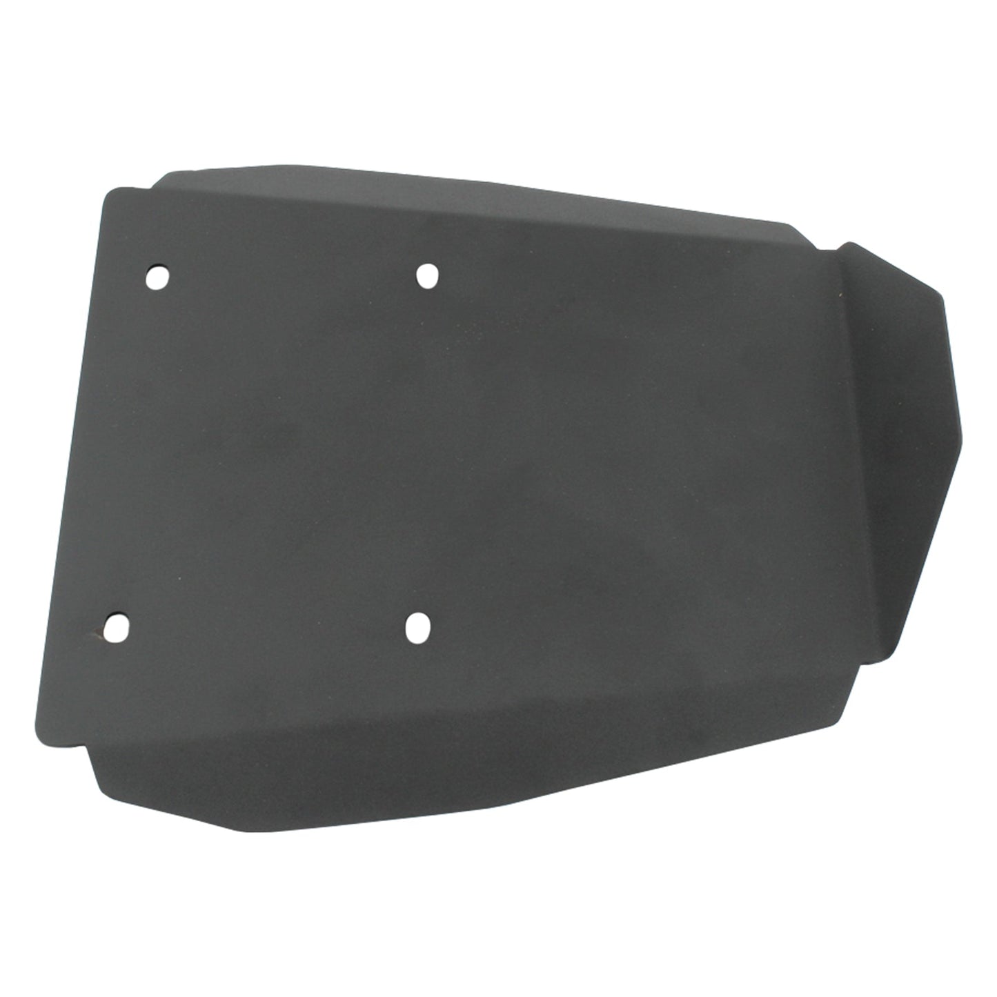 Supporto per parafango posteriore BMW R1300GS ADV 2023-2024
