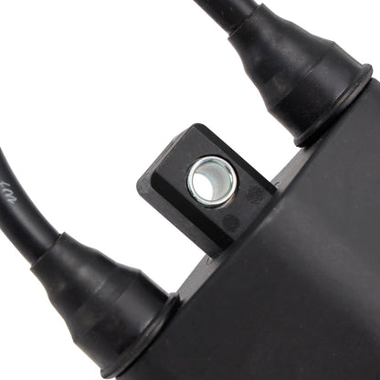 Bobina di accensione adatta per Yamaha 40HP K40J M(W/)S/L 94-03 6F5-85570-11 6F6-85530-00