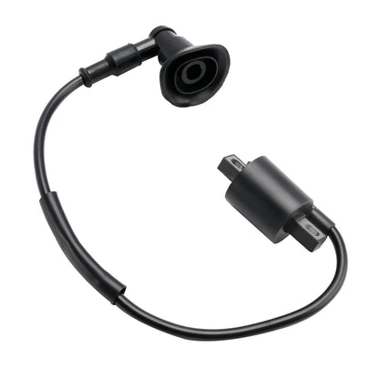 CDI BOX Accensione adatta per Polaris ATV PREDATOR 50 90 Can-Am ATV Mini DS 50 90
