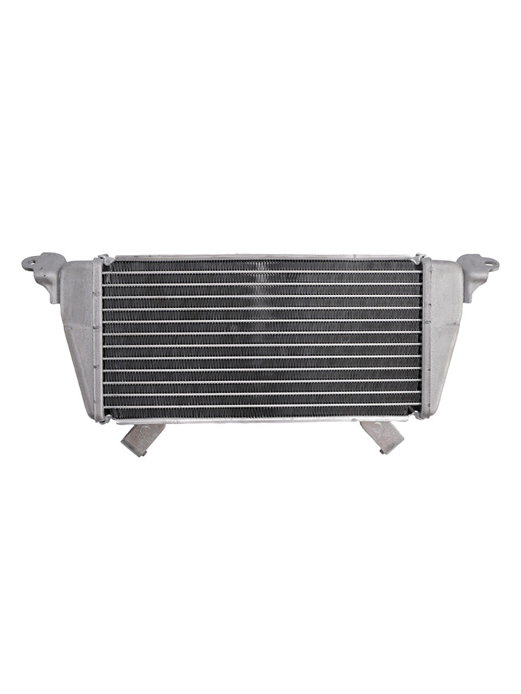 Raffreddamento del radiatore per BMW S1000XR 2020-2025
