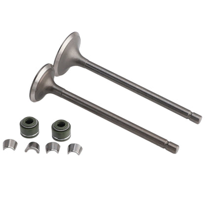 Kit valvole di aspirazione e scarico per ATV Quad Dirt Bike Pit Bike raffreddato ad aria CG 150cc