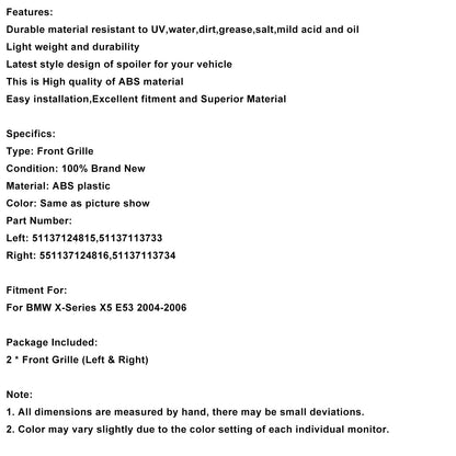 Griglia anteriore a doppio rene nera lucida BMW X-Series X5 E53 2004-2006