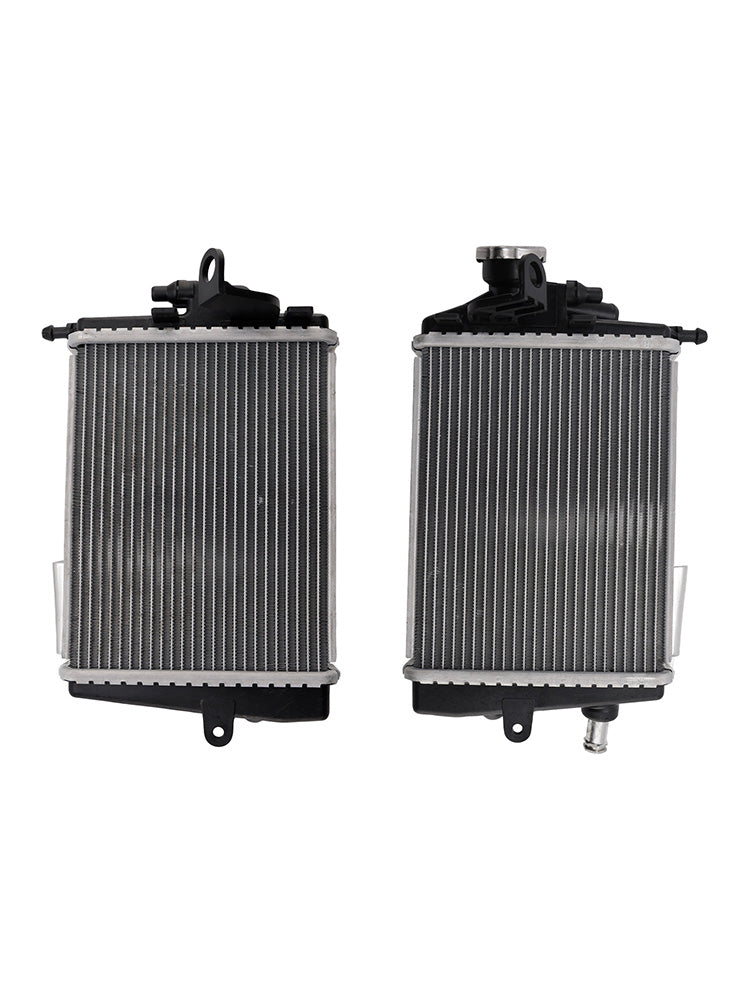 Radiatore di raffreddamento del motore BMW R1300GS 2024-2025