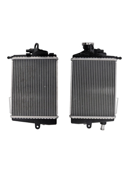 Radiatore di raffreddamento del motore BMW R1300GS 2024-2025