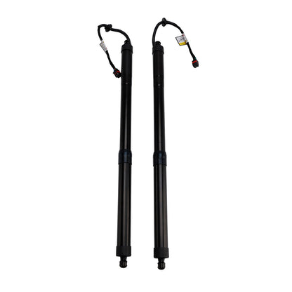 Supporto di sollevamento per portellone posteriore elettrico Hyundai Santa Fe Sport Utility 2013-2019, 2 pezzi