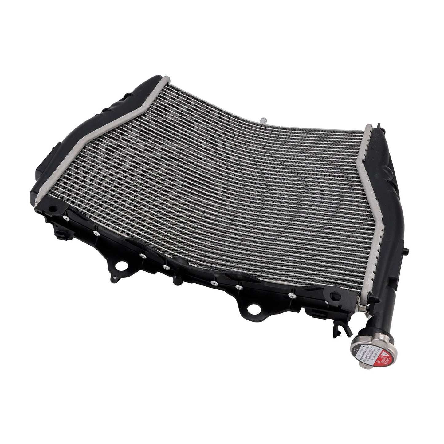 Radiatore di raffreddamento del motore in alluminio BMW S1000R 2015-2018