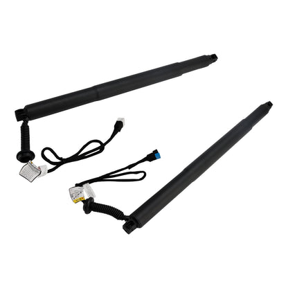Supporto di sollevamento elettrico per portellone posteriore 2 pezzi 51247434043 51247434044 per BMW X6 F16 SUV 2014-2019 M 50d 2993ccm 381HP 280KW (Diesel)