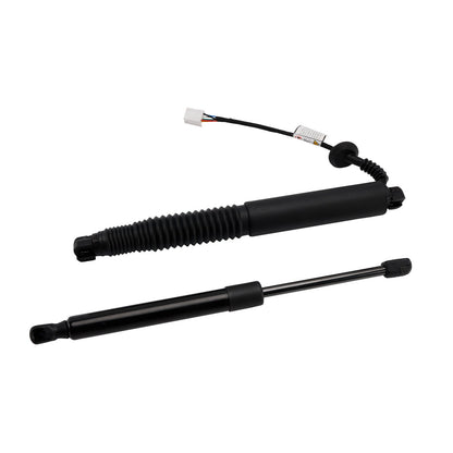 Supporto di sollevamento elettrico per portellone posteriore elettrico Tesla Model 3 2021-2023 Struthz