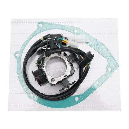 2003-2006 Kawasaki KLX125 KLX125 Statore di accensione Generatore con guarnizione 21003-S003