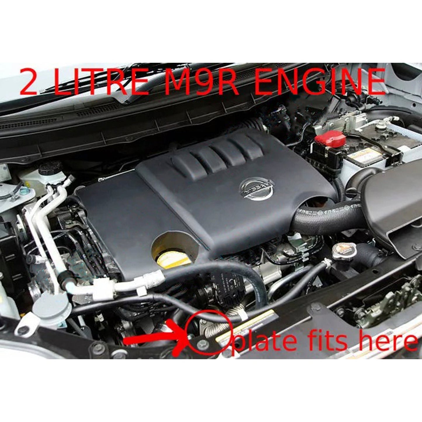 Piastra cieca valvola EGR per Trafic Vivaro Megane Laguna Safrane Scenic Latitude M9R