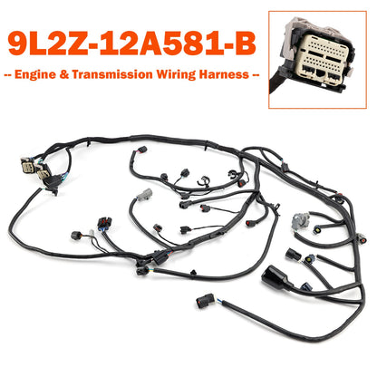 Cablaggio motore e trasmissione per Ford Explorer, Explorer Sport Trac V6 4.0L del 2010, codice 9L2Z-12A581-B