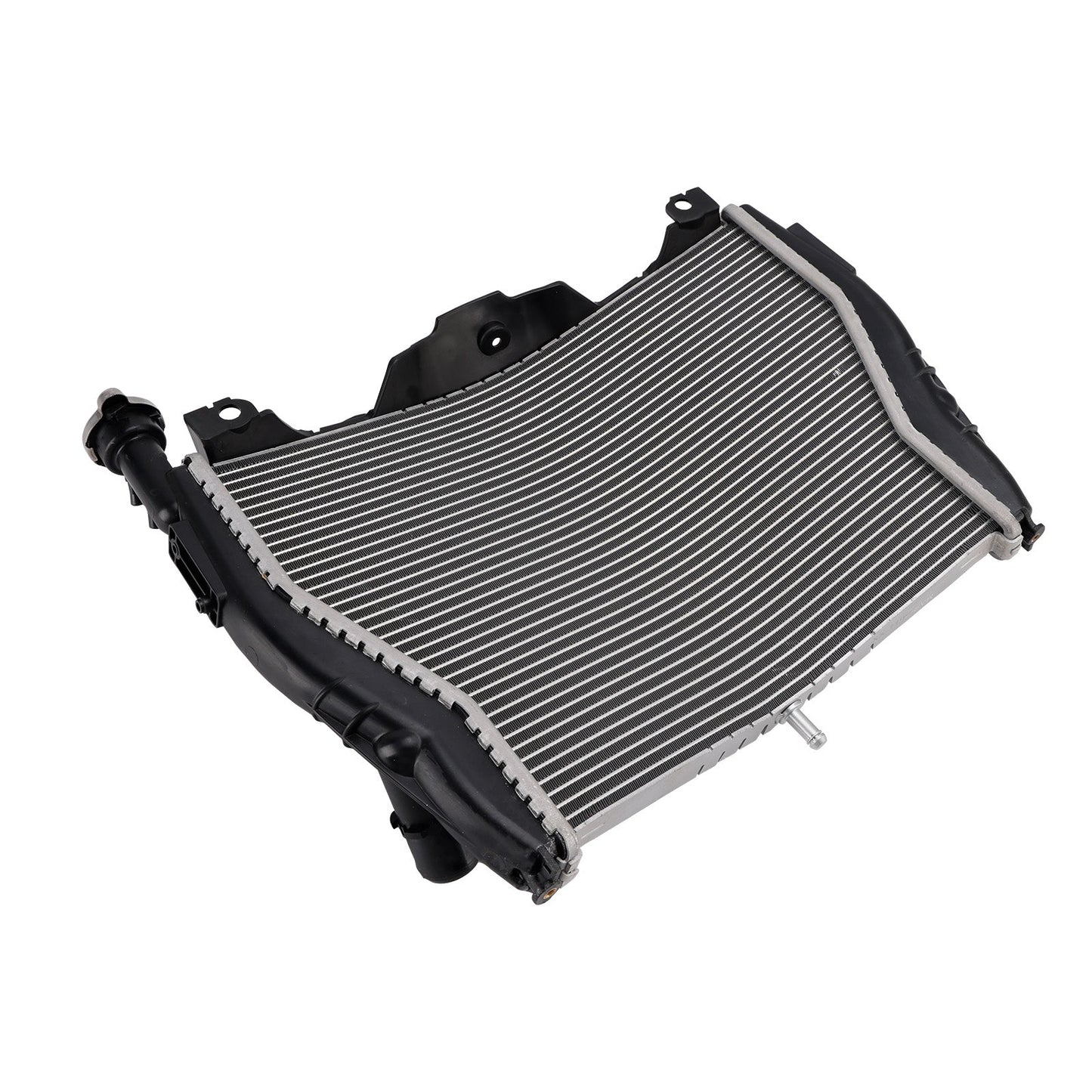 Radiatore di raffreddamento del motore in alluminio BMW S1000R 2015-2018