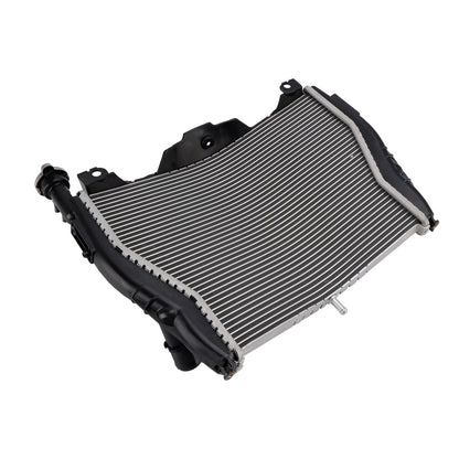 Radiatore di raffreddamento del motore in alluminio BMW S1000R 2015-2018