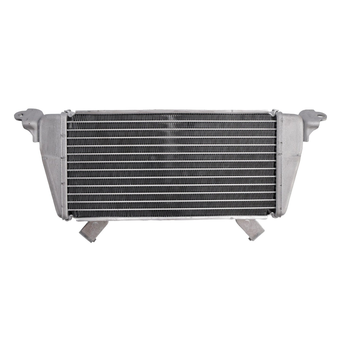Raffreddamento del radiatore per BMW S1000XR 2020-2025