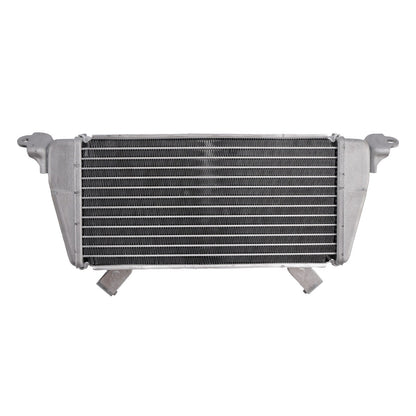 Raffreddamento del radiatore per BMW S1000XR 2020-2025