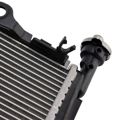 Radiatore di raffreddamento del motore in alluminio BMW S1000R 2015-2018