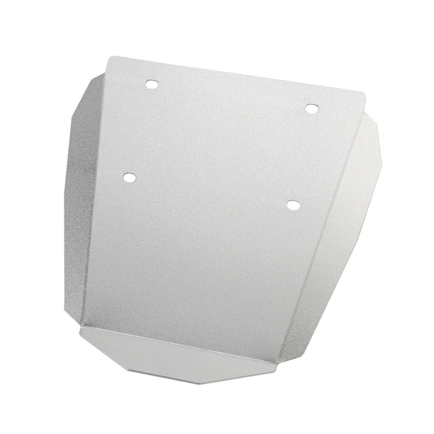 Supporto per telaio targa in lega di alluminio BMW R1300GS 2023-2024