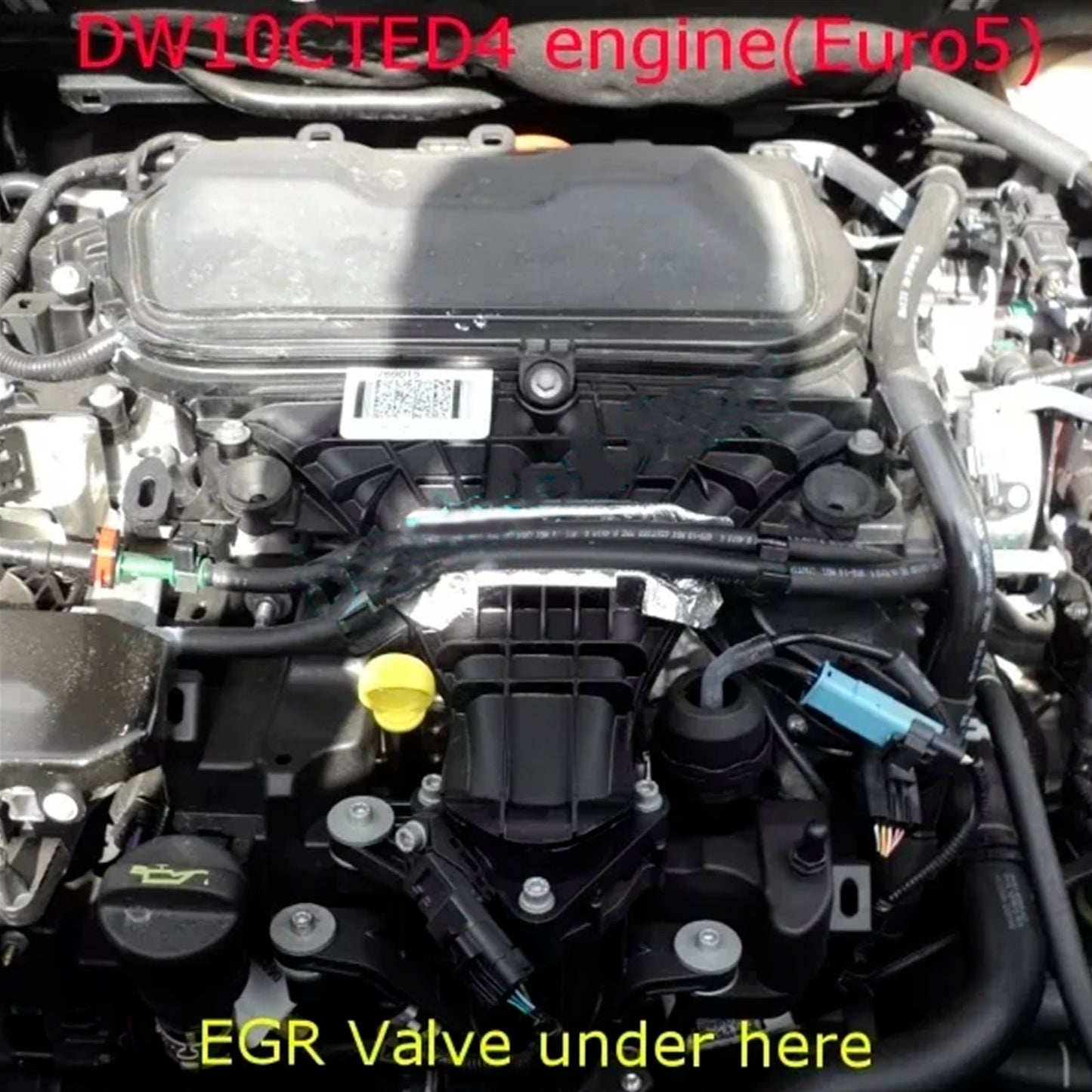 Piastra cieca valvola EGR per Ford Mondeo Kuga Focus 2.0L TDCi Euro5 DW10CTED4