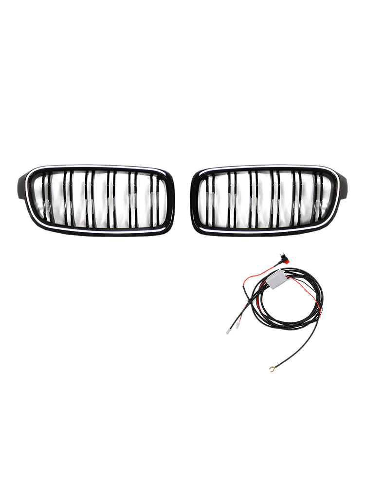 Griglia anteriore a doppio rene BMW Serie 3 F31 Touring 2012-2019