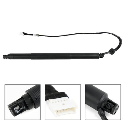 Supporto di sollevamento elettrico del portellone posteriore destro BMW X6 F16 SUV xDrive 30d 2014-2019 2993ccm 258HP 190KW (Diesel) 51247318652