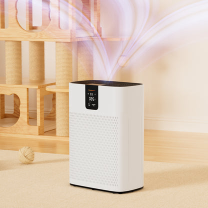Purificatore d’aria per casa – HEPA silenzioso e smart con app per peli & polvere