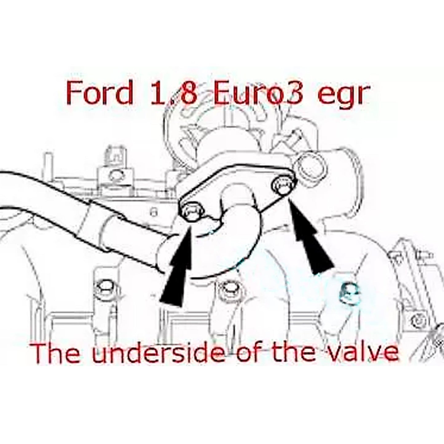 Piastra cieca valvola EGR per Ford Euro 3 Transit Connect Focus Mondeo 1.8 TDDI TDCi