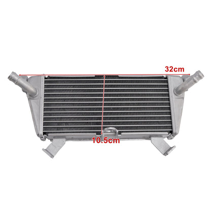 Raffreddamento del radiatore per BMW S1000R 2021-2025