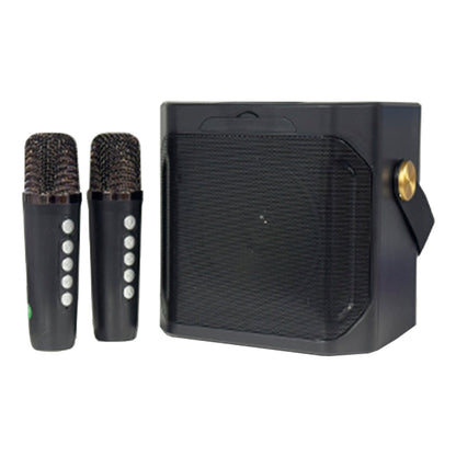 Altoparlante Bluetooth wireless con doppio microfono, altoparlante portatile per karaoke domestico