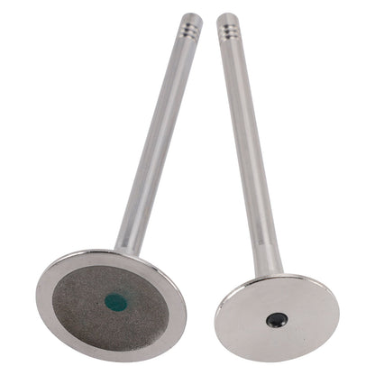 Set di 24 valvole di aspirazione e scarico 06E109601E per Audi A4 A5 A6 A7 A8 Q5 Q7 3.0T