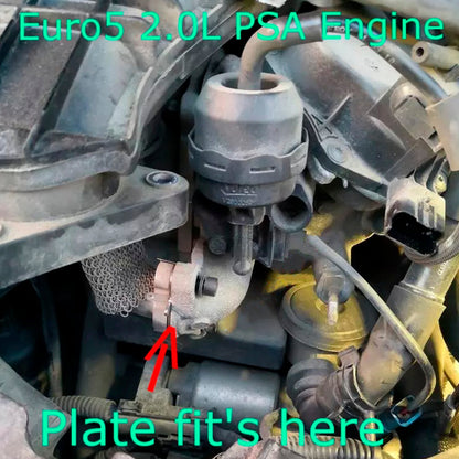 Piastra cieca valvola EGR per Ford Mondeo Kuga Focus 2.0L TDCi Euro5 DW10CTED4