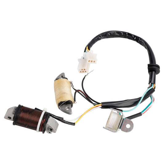 Bobina di ricarica e bobina di illuminazione Town Mate Yamaha T80ED 1987/1992/1993 2MK-85560-M0 2ML-85560-M0